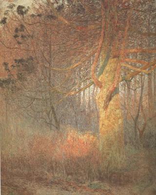 Emile Claus Tree in the Sun (nn02)